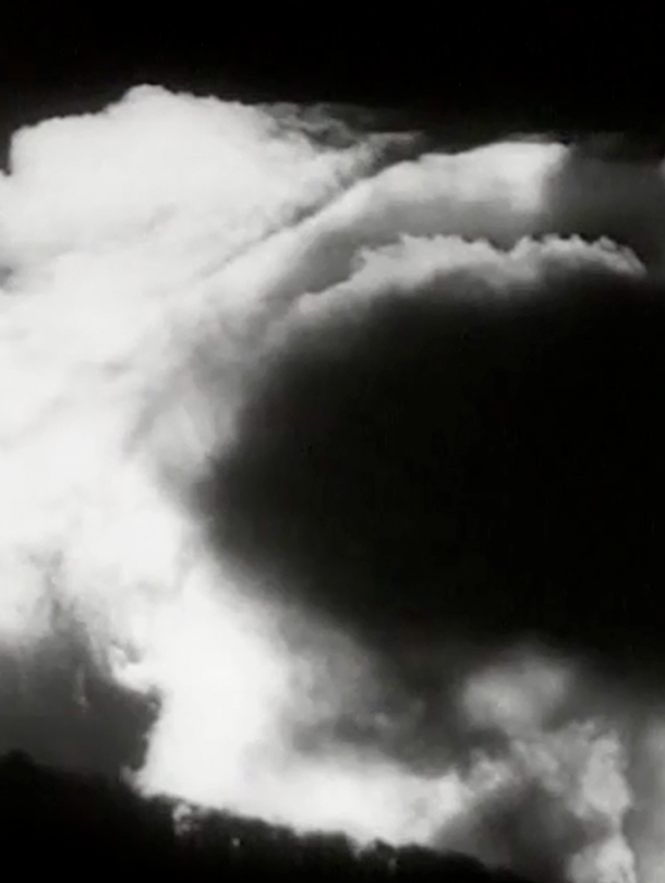 Les Saisons + Vie + Au début