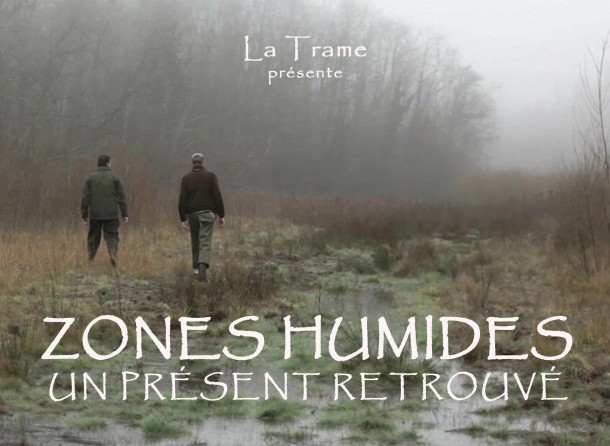 Zones humides, un présent retrouvé