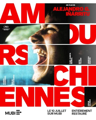 Amours chiennes