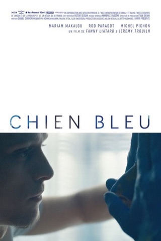 Chien Bleu