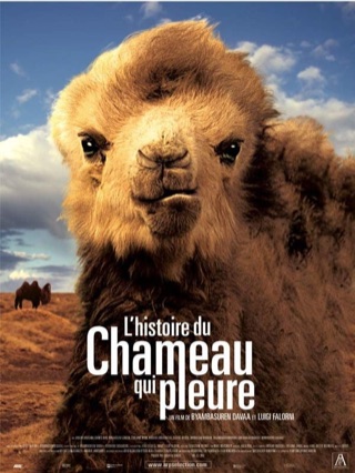 Histoire du chameau qui pleure