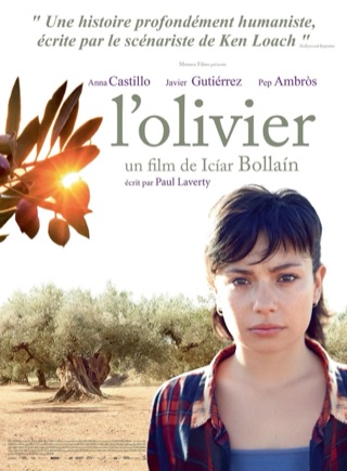 L'olivier