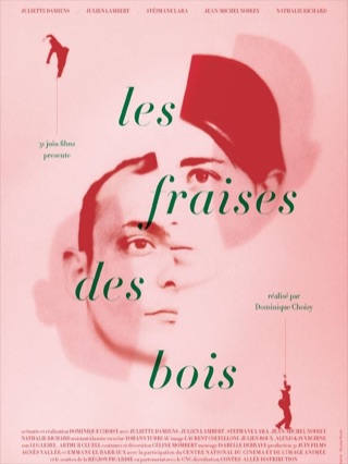 Les Fraises des bois