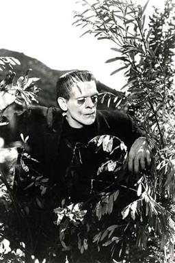 Frankenstein