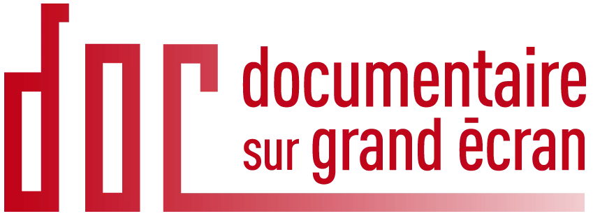 dsge logo red2