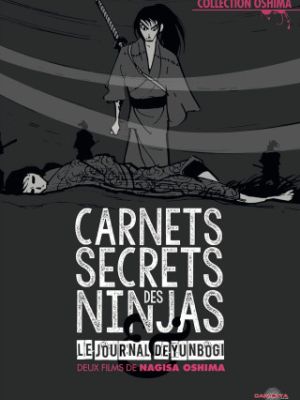 Carnets Secrets Des Ninjas