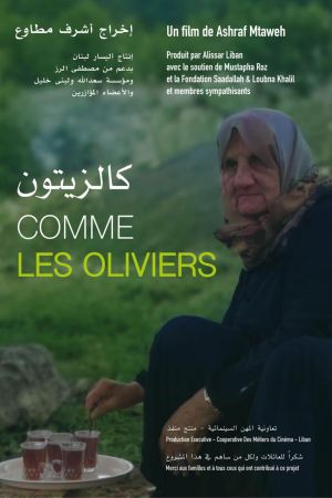 Affiche du film Soirée cinéma Liban