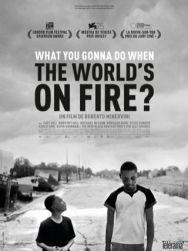 What You Gonna Do When The World's On Fire ?