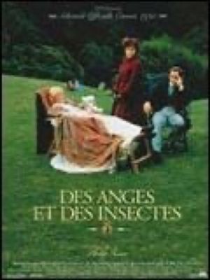Affiche du film Des anges et des insectes