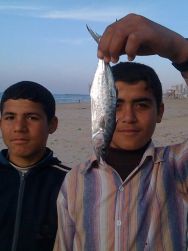 Aisheen (chroniques de Gaza)