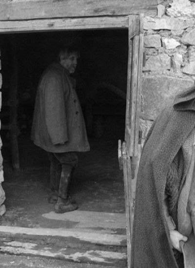 Le Cheval de Turin