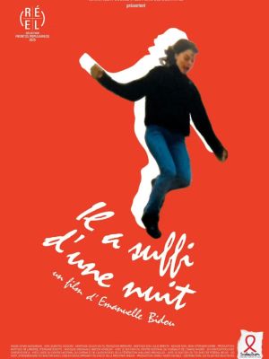 Affiche du film Il a suffi d'une nuit