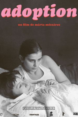 Affiche du film Adoption