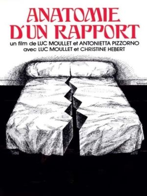 Affiche du film Anatomie d'un rapport