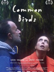 Common Birds