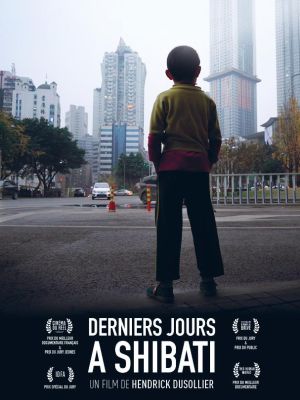 Affiche du film Derniers jours à Shibati