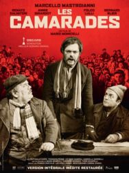 Les camarades