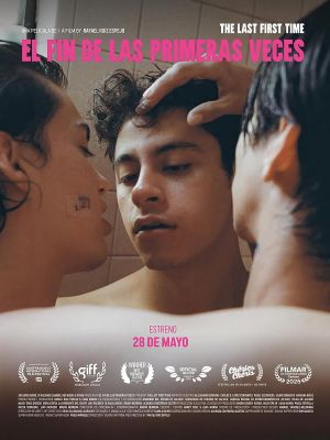 Affiche du film La Fin des premières fois