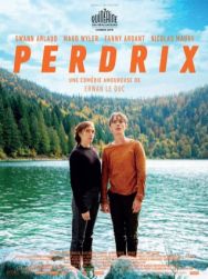 Perdrix
