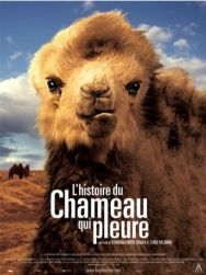 Histoire du chameau qui pleure