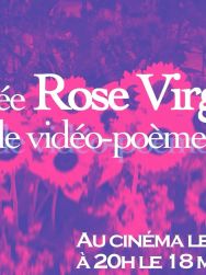 Vidéo-poèmes