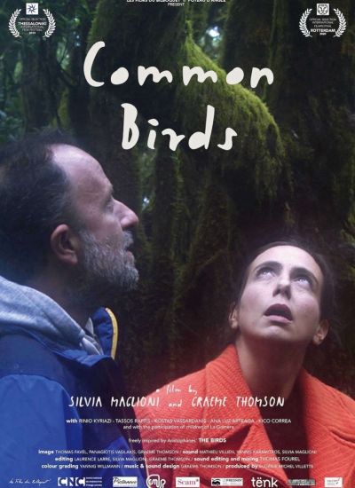 Common Birds