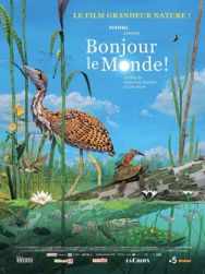 Bonjour le Monde !