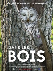 Dans les bois