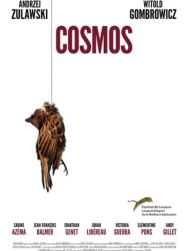 Cosmos