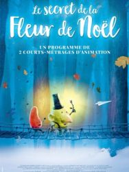 Le Secret de la fleur de Noël