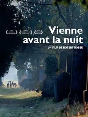Affiche du film Vienne avant la nuit