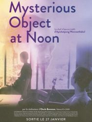 Mysterious object at noon