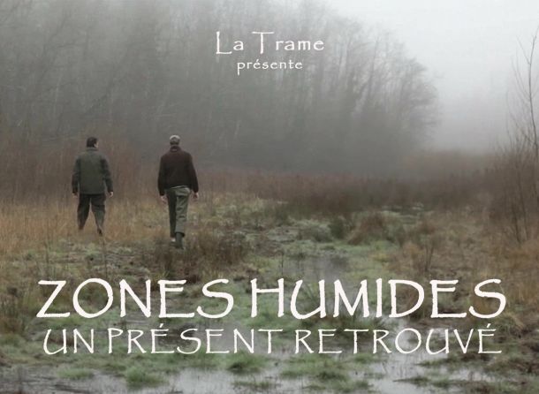 Zones humides, un présent retrouvé