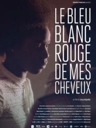 Bleu blanc rouge de mes cheveux
