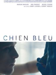 Chien Bleu