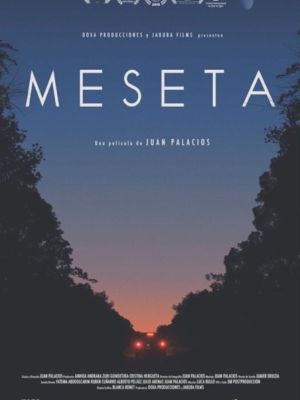Affiche du film Meseta