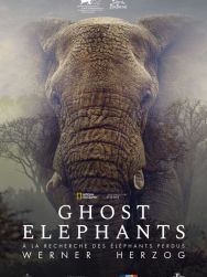 Ghost Elephants