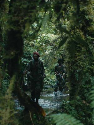 Affiche du film La Miséricorde de la jungle