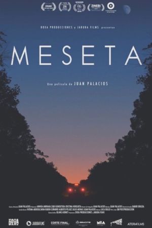 Affiche du film Meseta