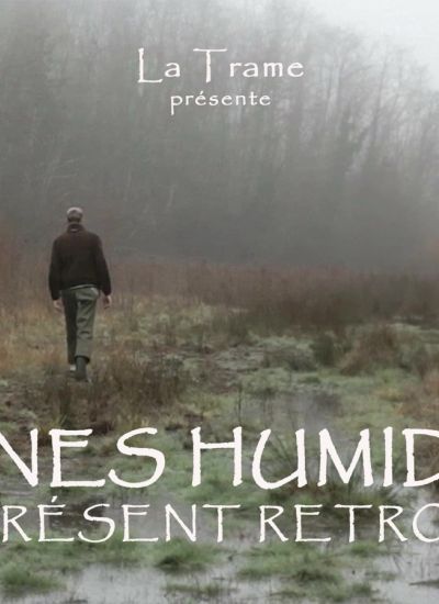 Zones humides, un présent retrouvé