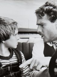 La Barbe à papa