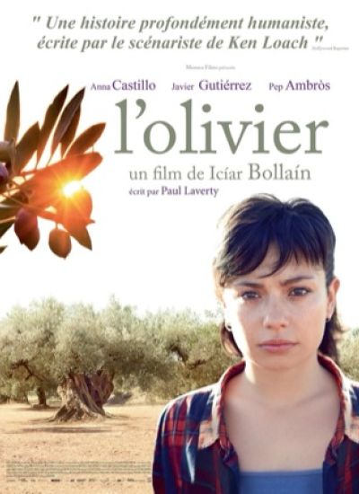 L'olivier