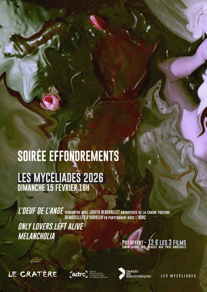 L’affiche de Les Mycéliades 2026 - Soirée Effondrements
