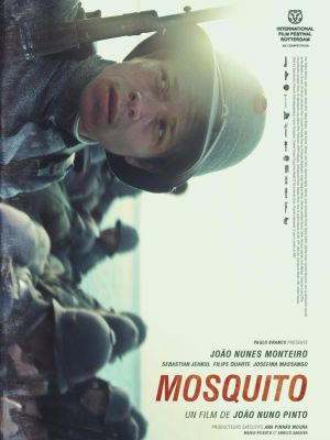Affiche du film Mosquito