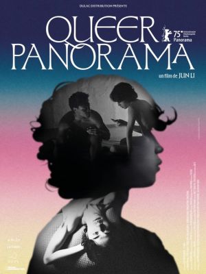 Affiche du film Queerpanorama