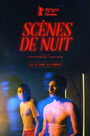 Affiche du film Scènes de nuit