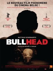 Bull head