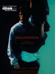 Baltringue
