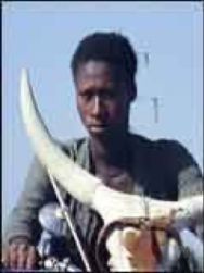 Touki-Bouki