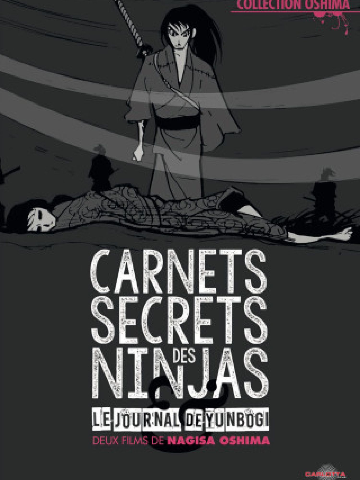 Carnets Secrets Des Ninjas